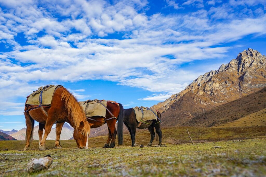 bhutan